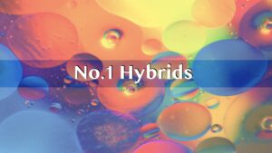 ハイブッドコード１.001