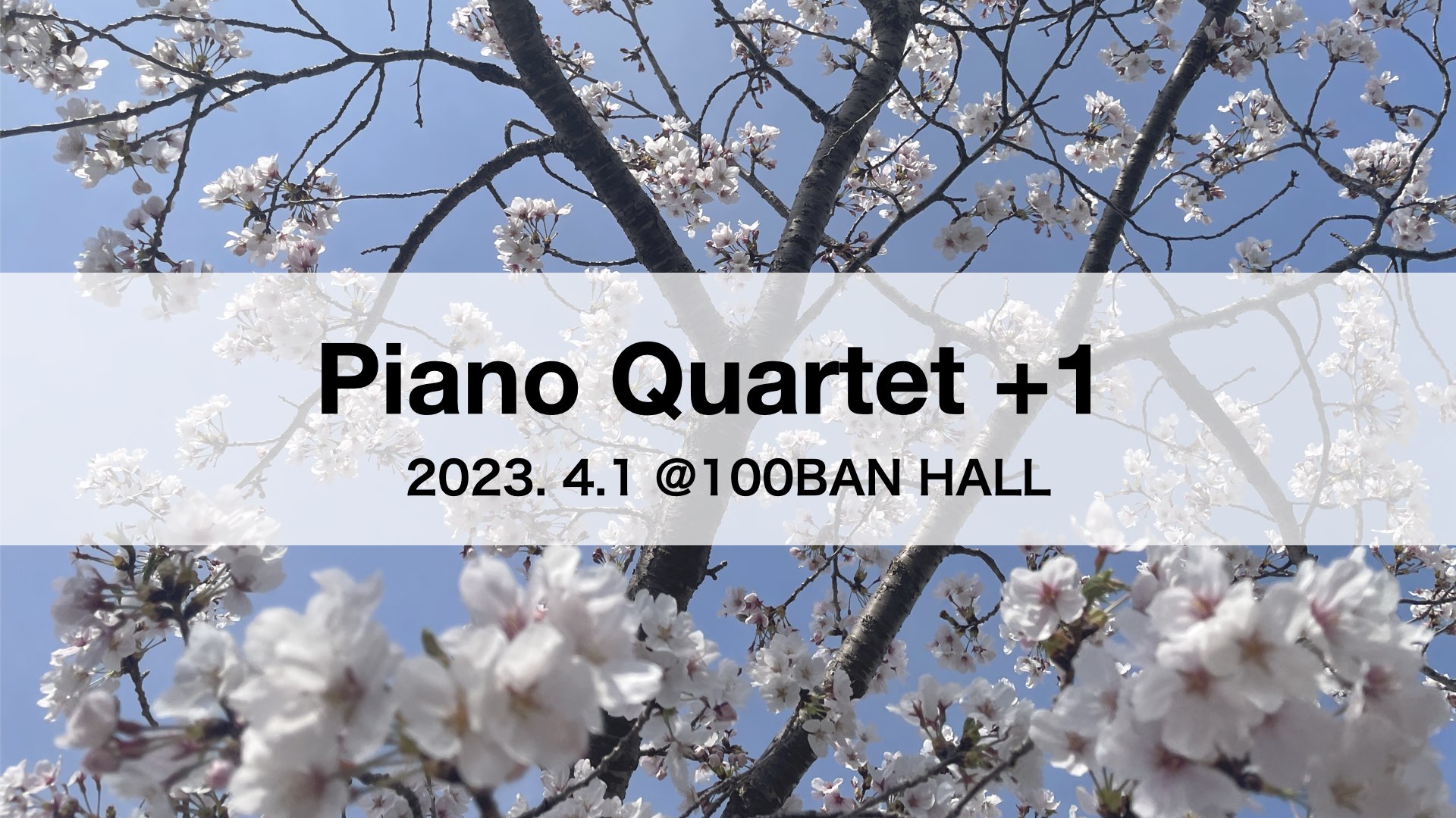 ライブ風景動画【Sakiko Masuda Quartet +1＠100BAN Hall 2023.4.1】